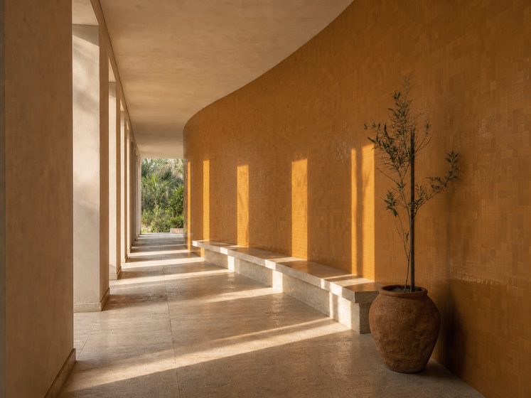 Galerie Solaire, mur courbe en zellije Spice Girl