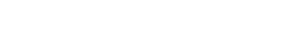 The Zellijist